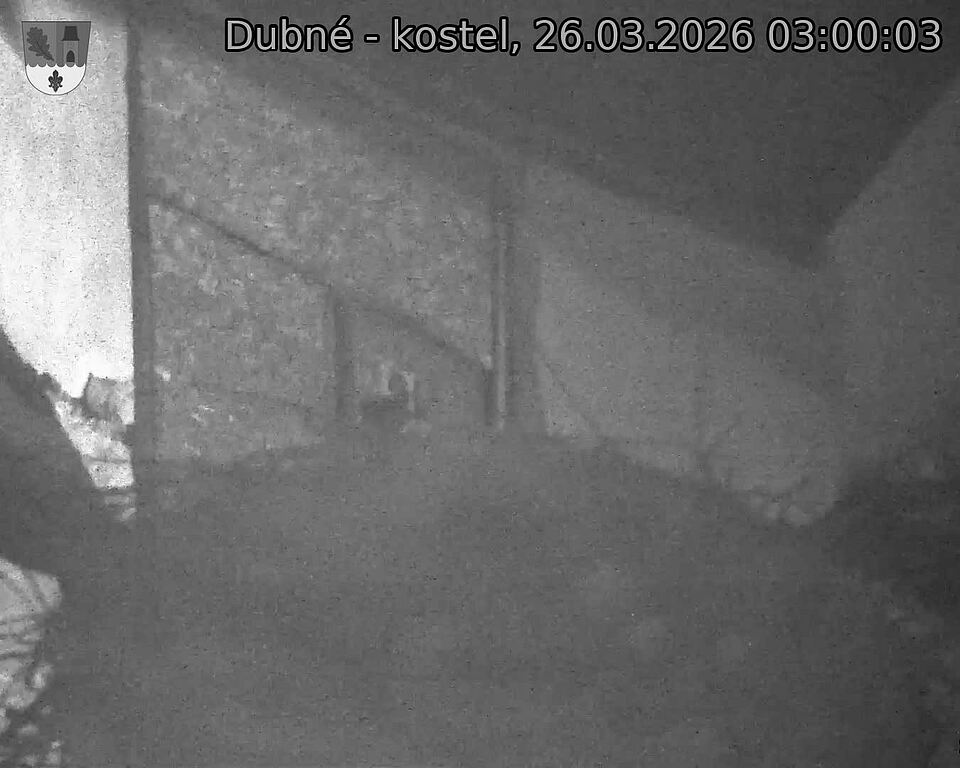 Capi_Dubne_20260326_030003.jpg (1350&nbsp;x&nbsp;1080)