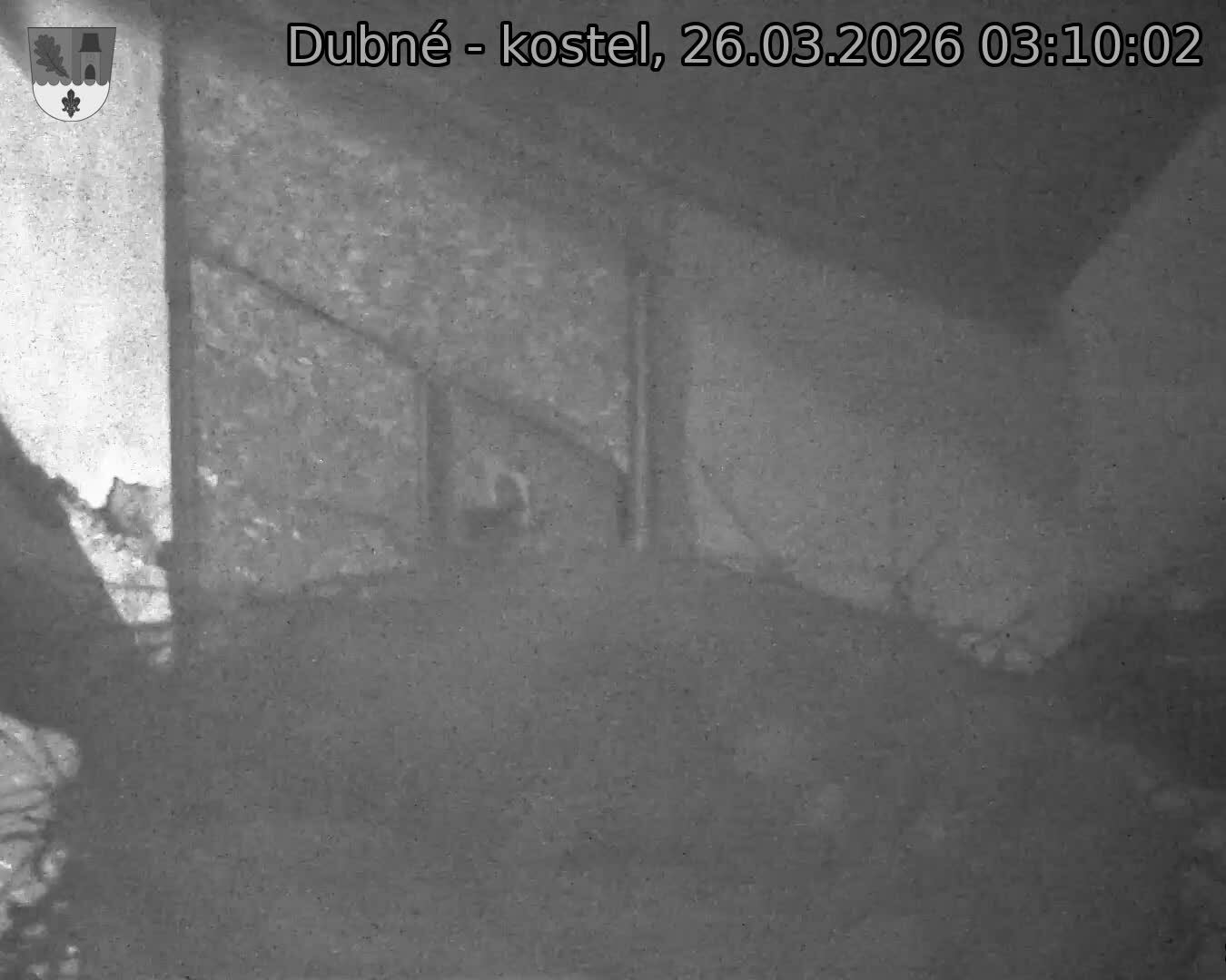 Capi_Dubne_20260326_031002.jpg (1350&nbsp;x&nbsp;1080)