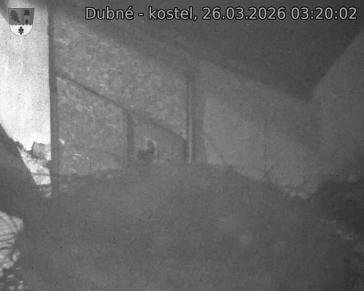 Capi_Dubne_20260326_032002.jpg (1350&nbsp;x&nbsp;1080)