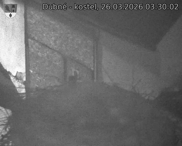 Capi_Dubne_20260326_033002.jpg (1350&nbsp;x&nbsp;1080)