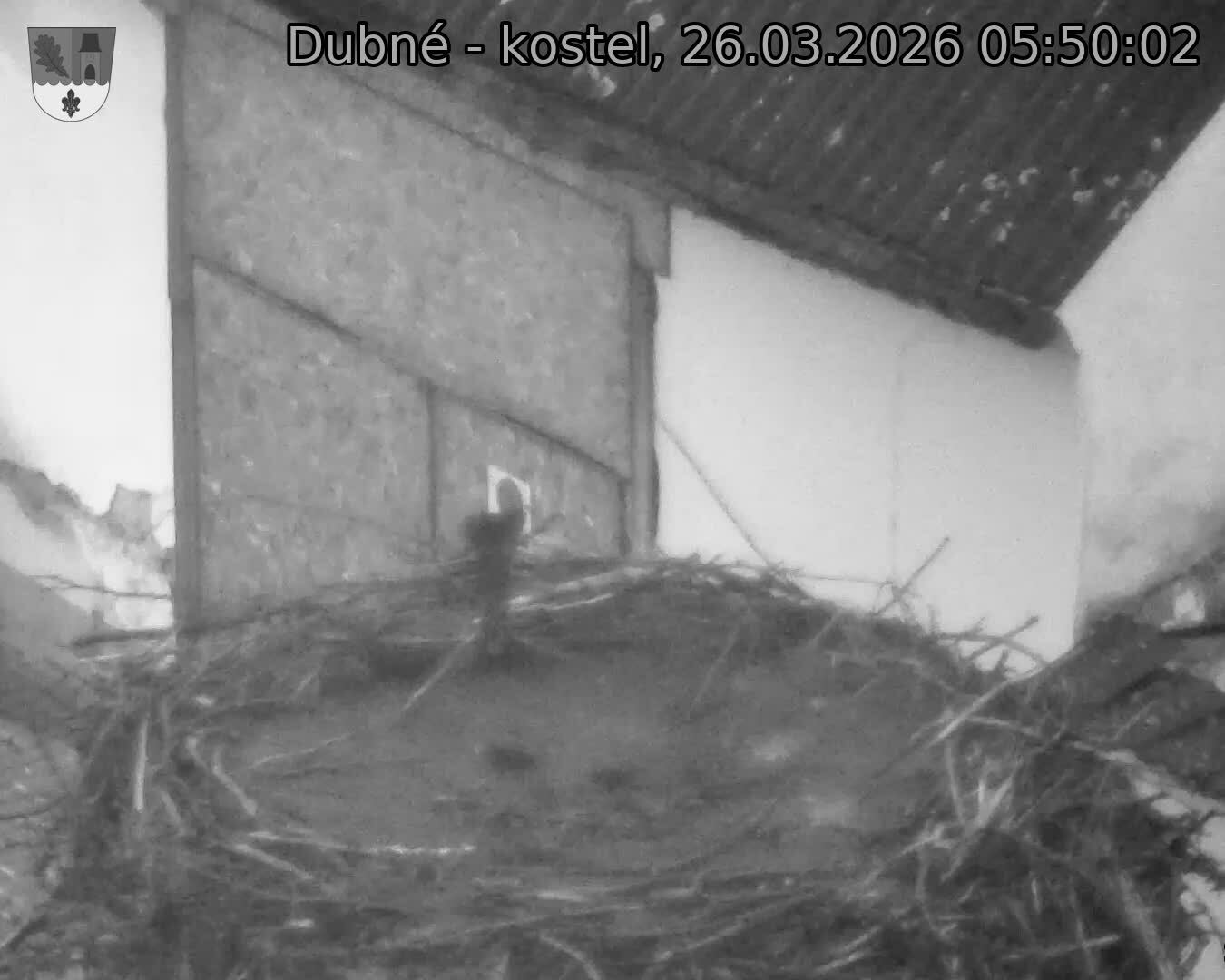 Capi_Dubne_20260326_055002.jpg (1350&nbsp;x&nbsp;1080)