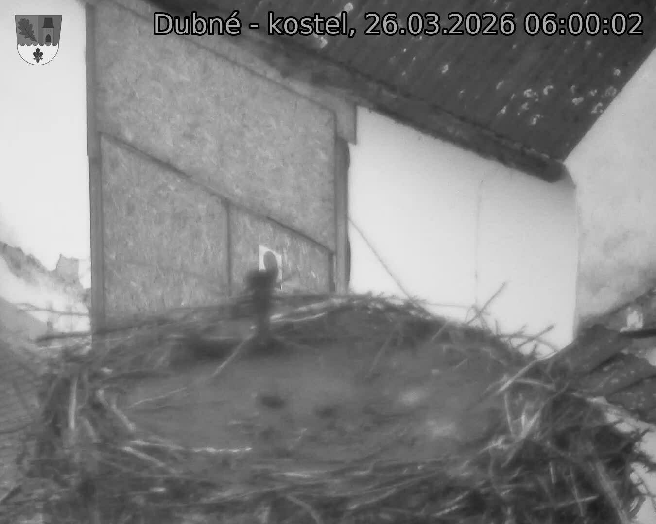 Capi_Dubne_20260326_060002.jpg (1350&nbsp;x&nbsp;1080)
