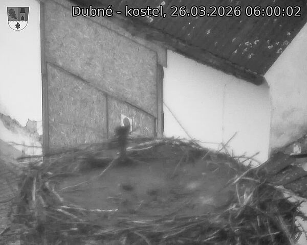 Capi_Dubne_20260326_060002.jpg (1350&nbsp;x&nbsp;1080)