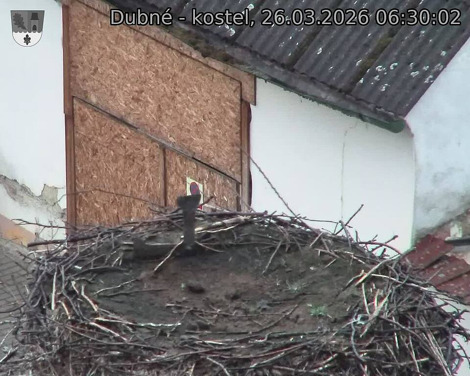 Capi_Dubne_20260326_063002.jpg (1350&nbsp;x&nbsp;1080)