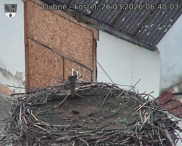 Capi_Dubne_20260326_064003.jpg (1350&nbsp;x&nbsp;1080)