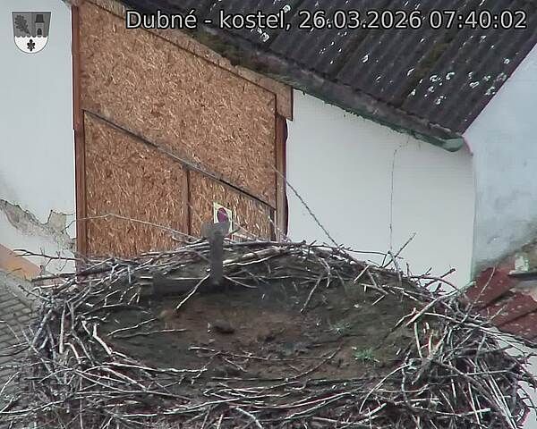 Capi_Dubne_20260326_074002.jpg (1350&nbsp;x&nbsp;1080)