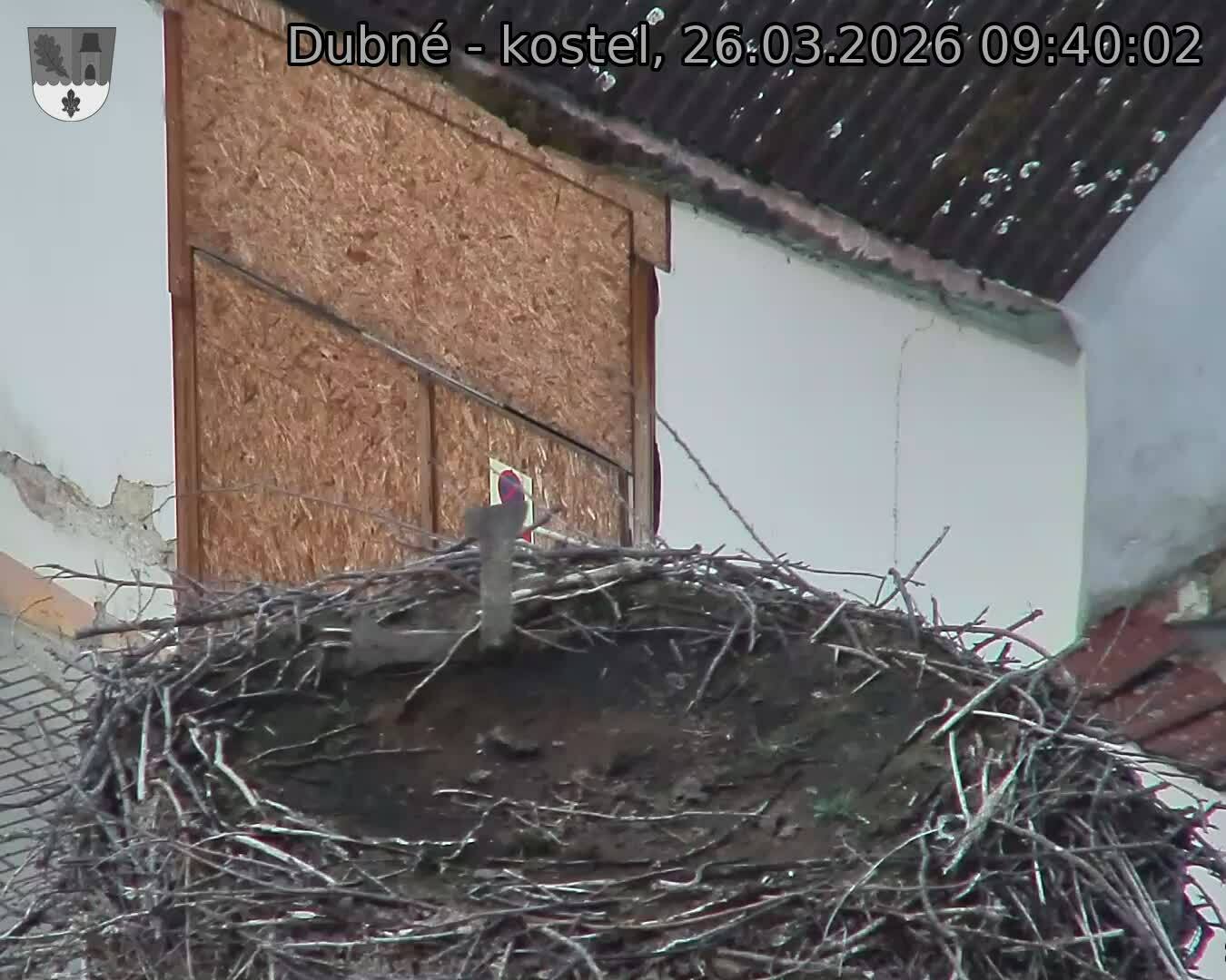 Capi_Dubne_20260326_094002.jpg (1350&nbsp;x&nbsp;1080)