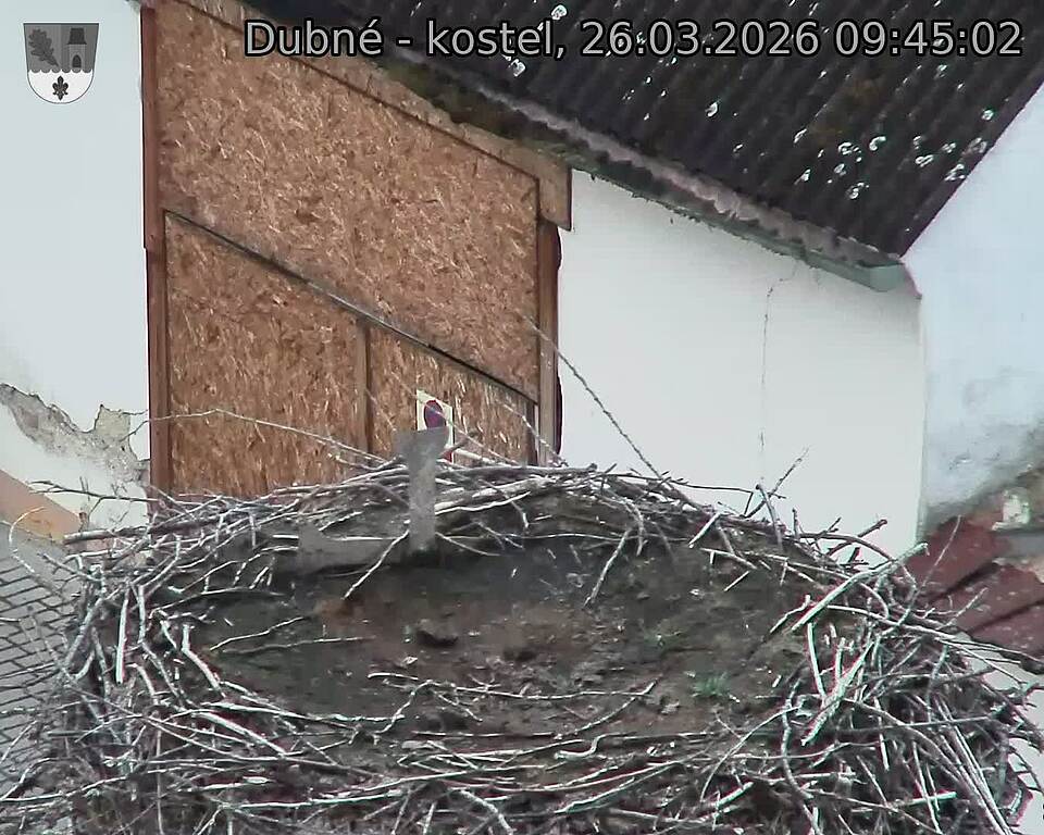 Capi_Dubne_20260326_094502.jpg (1350&nbsp;x&nbsp;1080)