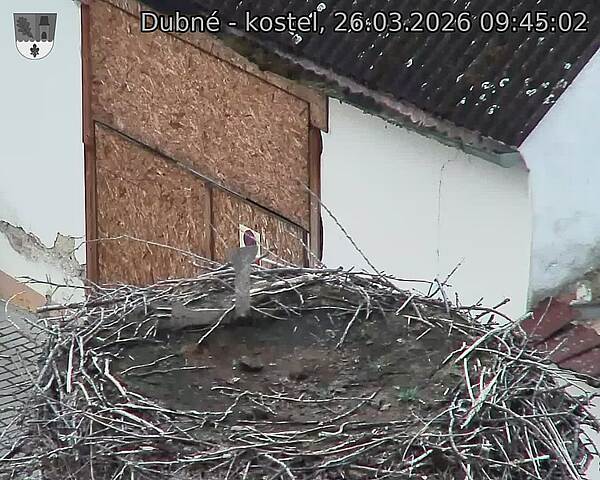 Capi_Dubne_20260326_094502.jpg (1350&nbsp;x&nbsp;1080)