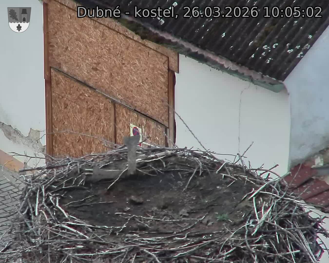 Capi_Dubne_20260326_100502.jpg (1350&nbsp;x&nbsp;1080)