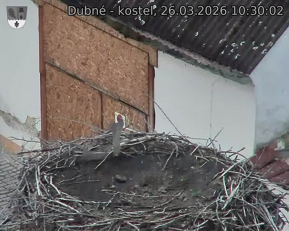 Capi_Dubne_20260326_103002.jpg (1350&nbsp;x&nbsp;1080)
