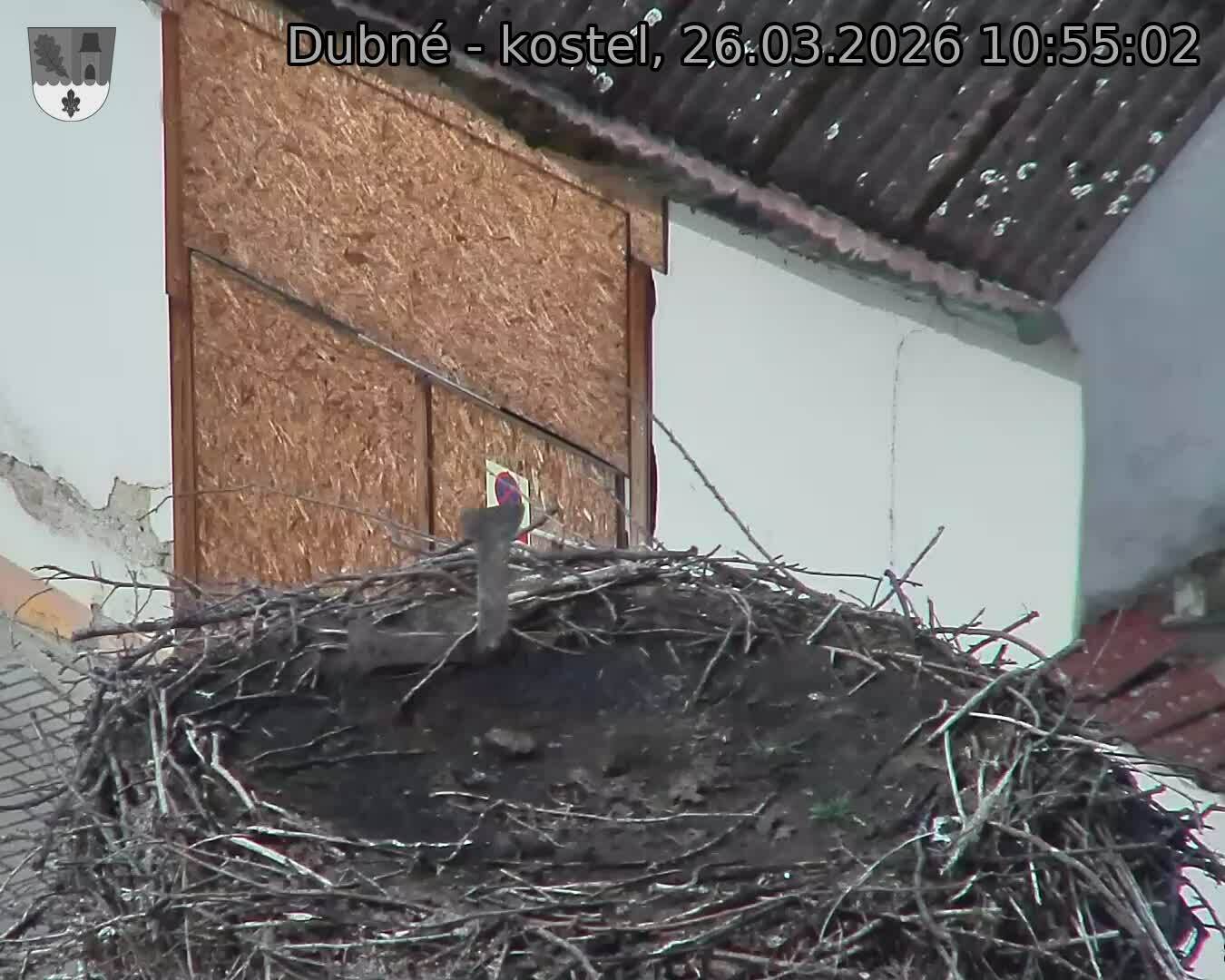 Capi_Dubne_20260326_105502.jpg (1350&nbsp;x&nbsp;1080)