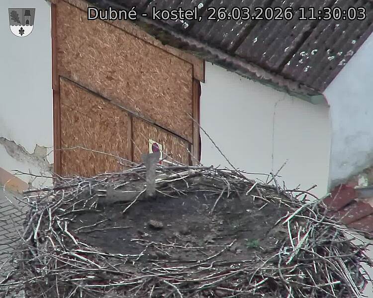 Capi_Dubne_20260326_113003.jpg (1350&nbsp;x&nbsp;1080)