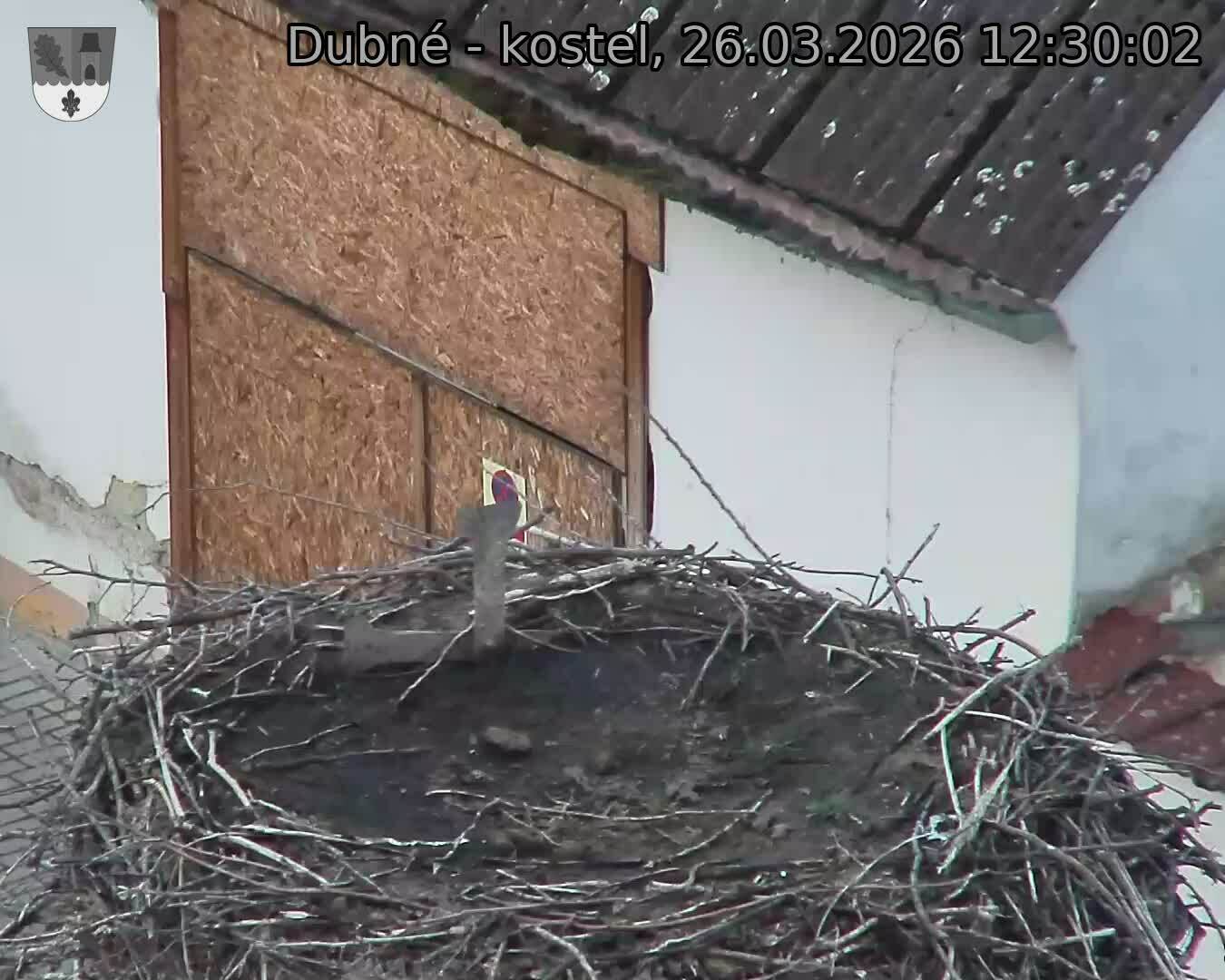 Capi_Dubne_20260326_123002.jpg (1350&nbsp;x&nbsp;1080)