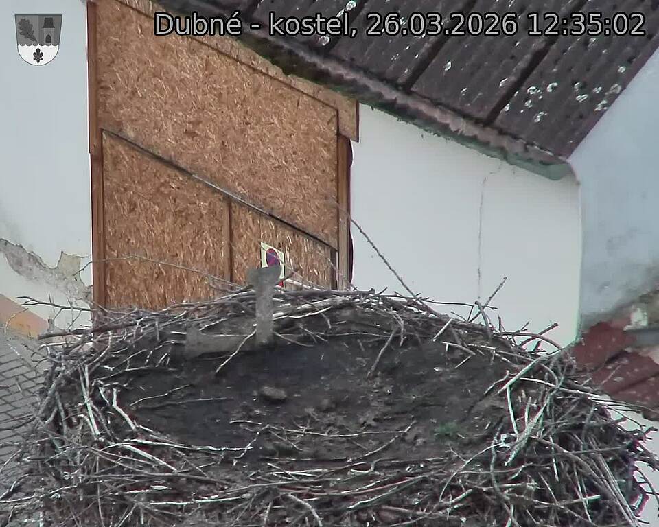 Capi_Dubne_20260326_123503.jpg (1350&nbsp;x&nbsp;1080)