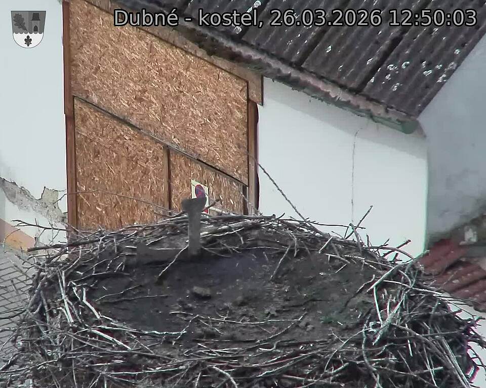 Capi_Dubne_20260326_125003.jpg (1350&nbsp;x&nbsp;1080)