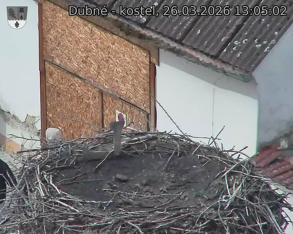Capi_Dubne_20260326_130502.jpg (1350&nbsp;x&nbsp;1080)