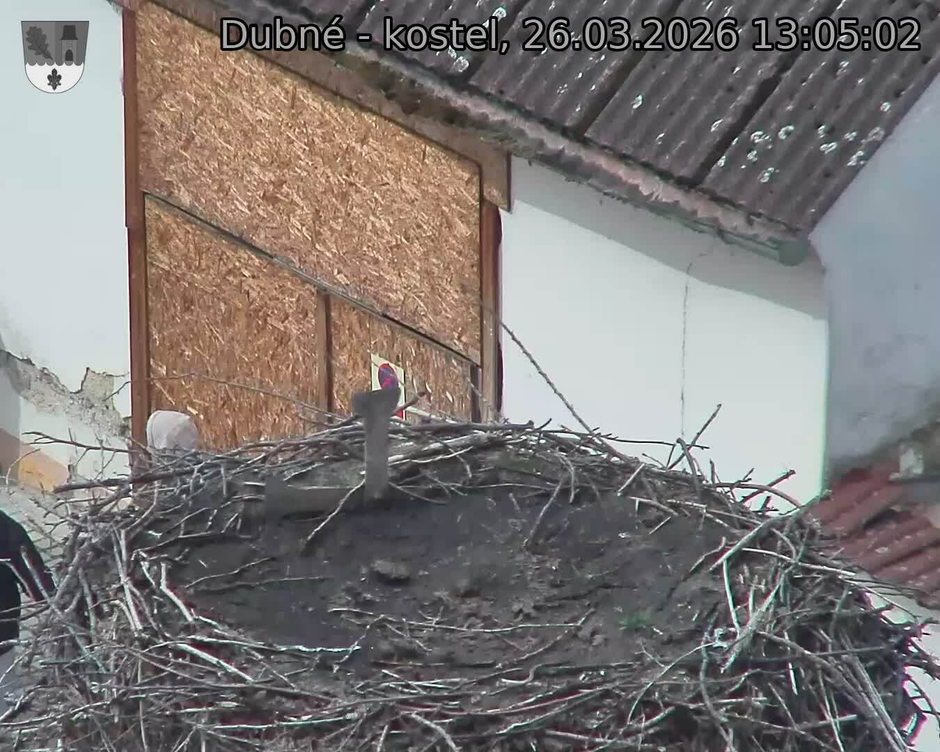 Capi_Dubne_20260326_130502.jpg (1350&nbsp;x&nbsp;1080)