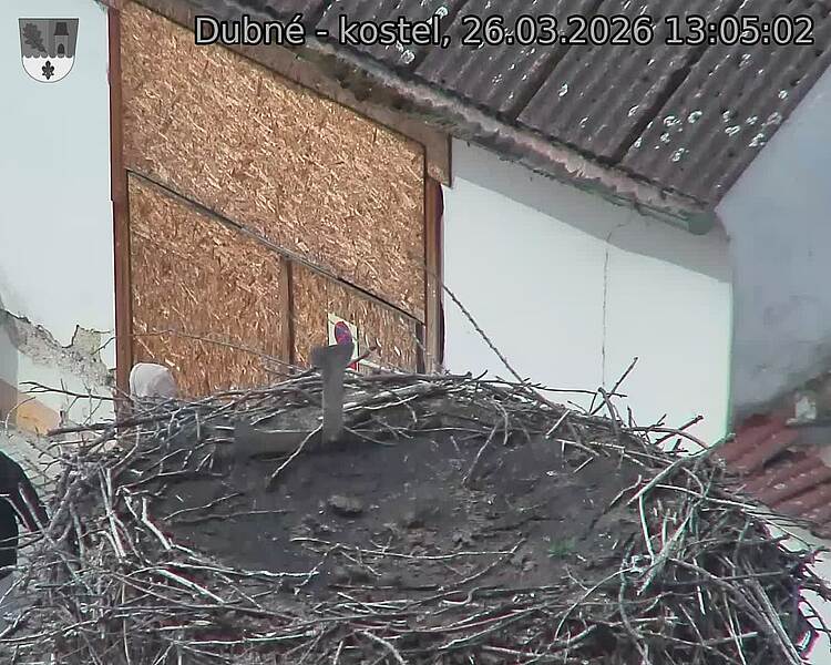 Capi_Dubne_20260326_130502.jpg (1350&nbsp;x&nbsp;1080)