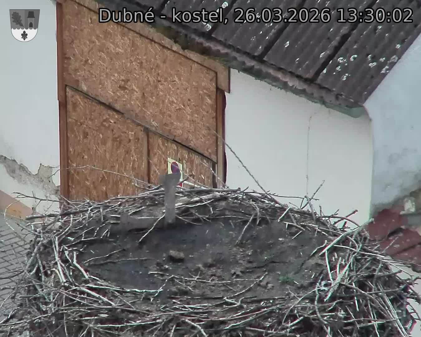 Capi_Dubne_20260326_133002.jpg (1350&nbsp;x&nbsp;1080)