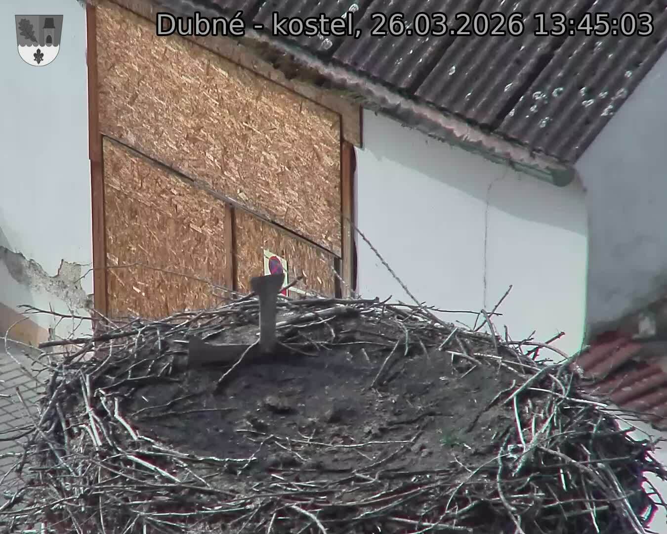 Capi_Dubne_20260326_134503.jpg (1350&nbsp;x&nbsp;1080)