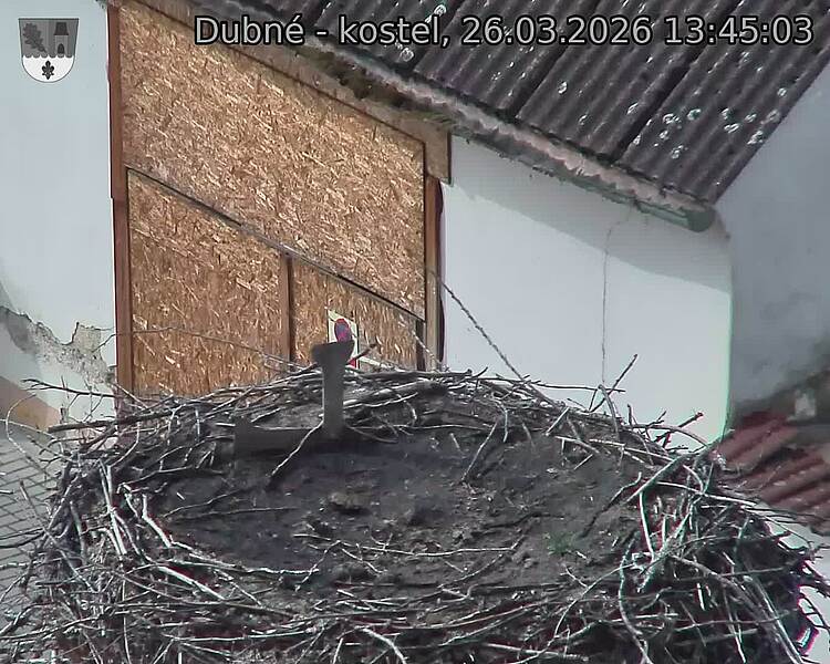 Capi_Dubne_20260326_134503.jpg (1350&nbsp;x&nbsp;1080)