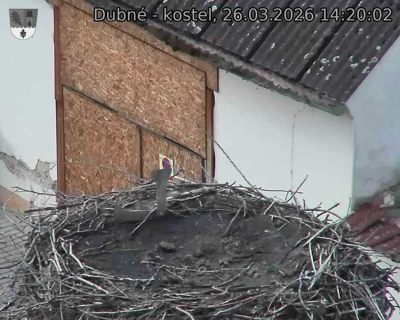 Capi_Dubne_20260326_142002.jpg (1350&nbsp;x&nbsp;1080)