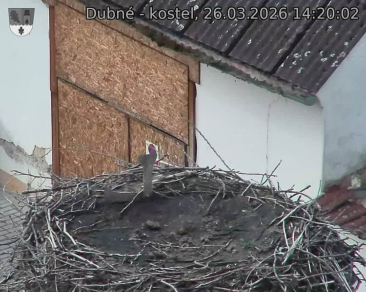 Capi_Dubne_20260326_142002.jpg (1350&nbsp;x&nbsp;1080)