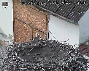 Capi_Dubne_20260326_144502.jpg (1350&nbsp;x&nbsp;1080)