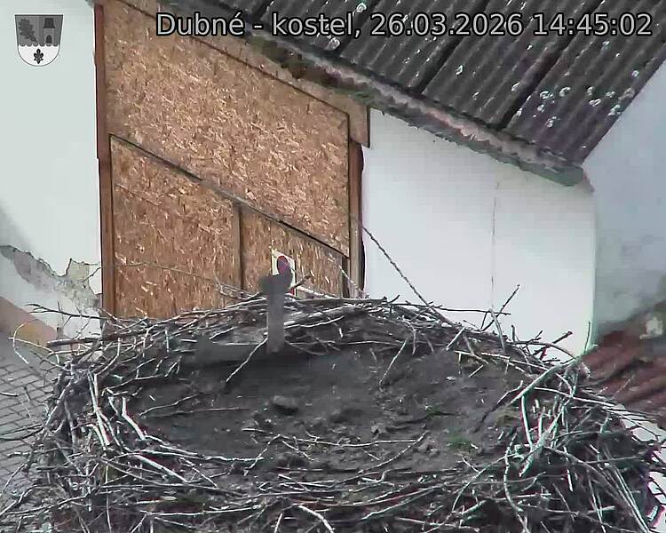 Capi_Dubne_20260326_144502.jpg (1350&nbsp;x&nbsp;1080)