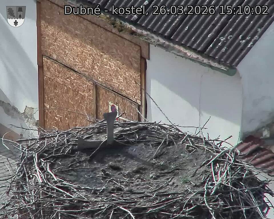 Capi_Dubne_20260326_151002.jpg (1350&nbsp;x&nbsp;1080)