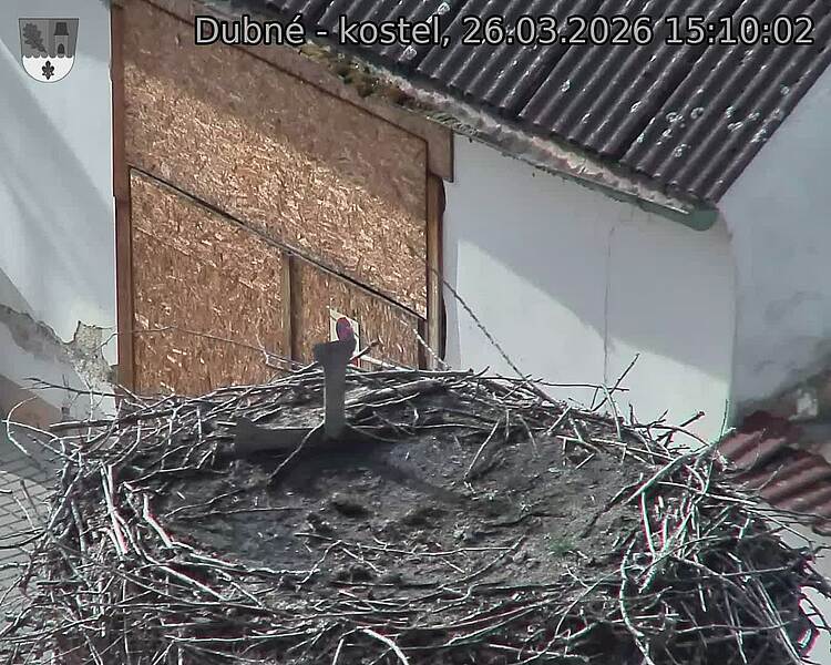 Capi_Dubne_20260326_151002.jpg (1350&nbsp;x&nbsp;1080)