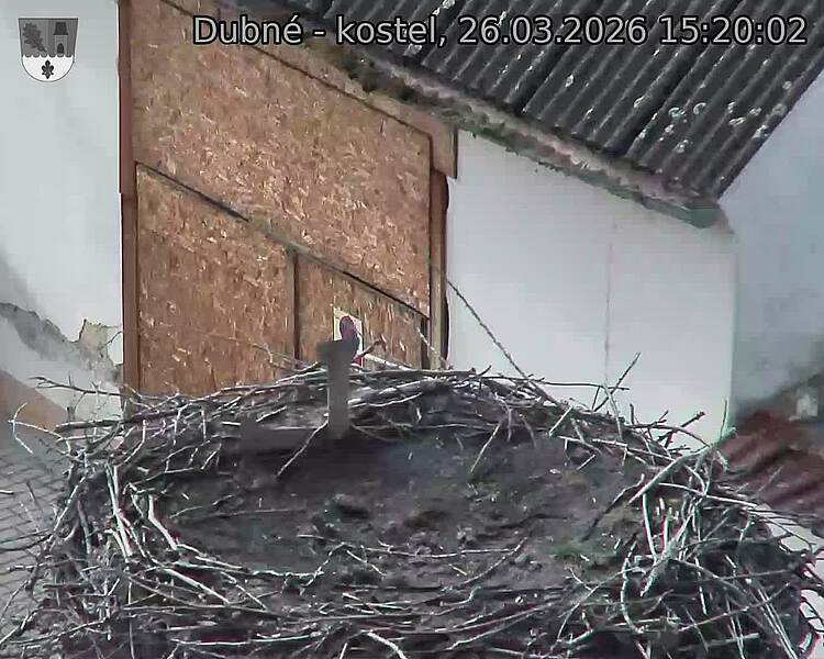 Capi_Dubne_20260326_152002.jpg (1350&nbsp;x&nbsp;1080)