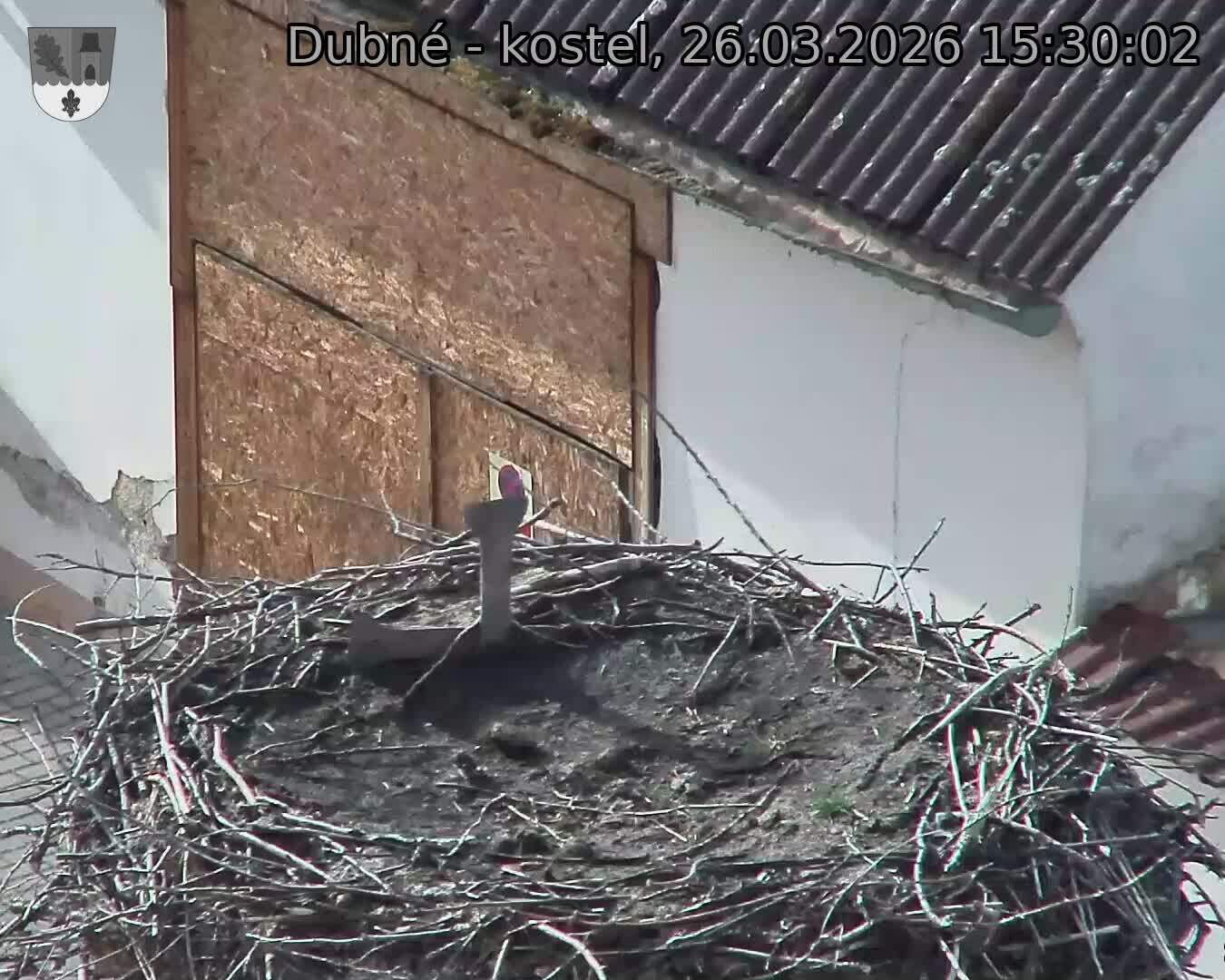 Capi_Dubne_20260326_153002.jpg (1350&nbsp;x&nbsp;1080)