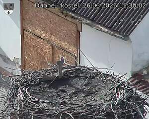 Capi_Dubne_20260326_153002.jpg (1350&nbsp;x&nbsp;1080)