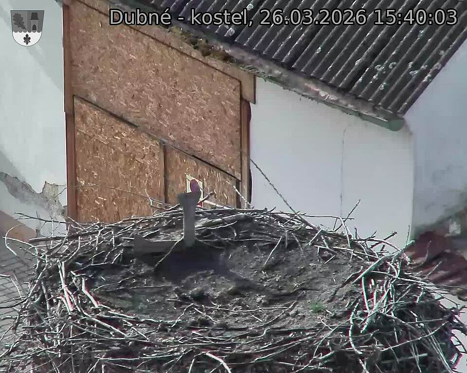 Capi_Dubne_20260326_154003.jpg (1350&nbsp;x&nbsp;1080)