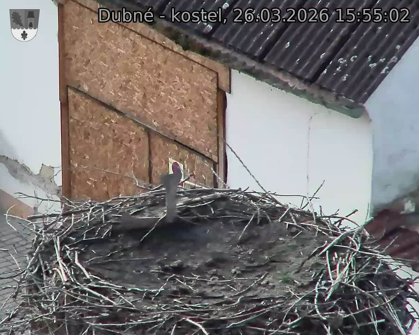 Capi_Dubne_20260326_155502.jpg (1350&nbsp;x&nbsp;1080)