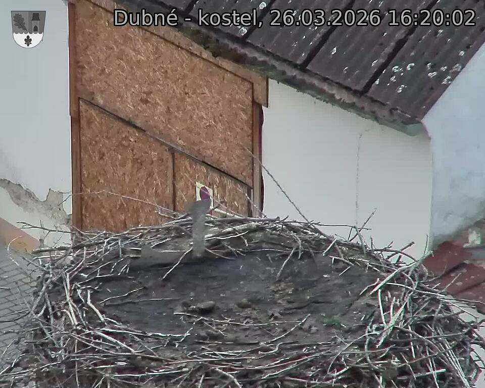 Capi_Dubne_20260326_162003.jpg (1350&nbsp;x&nbsp;1080)