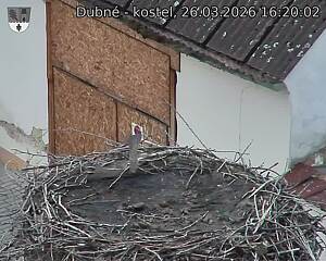 Capi_Dubne_20260326_162003.jpg (1350&nbsp;x&nbsp;1080)