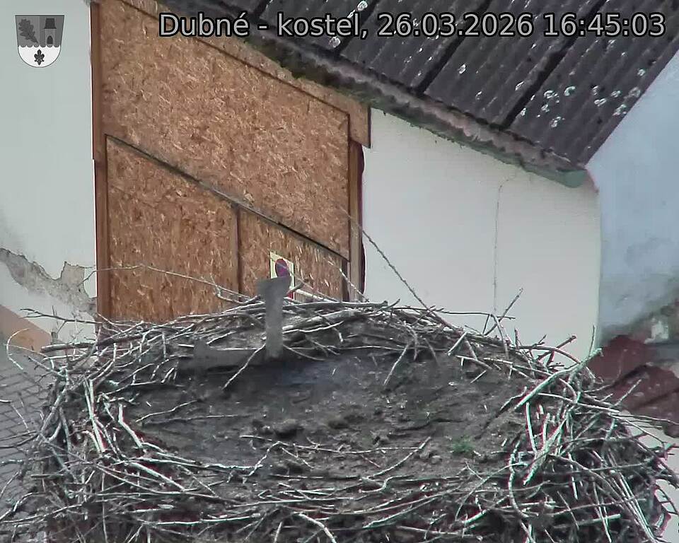 Capi_Dubne_20260326_164503.jpg (1350&nbsp;x&nbsp;1080)