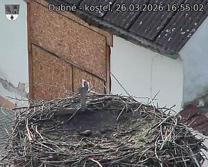 Capi_Dubne_20260326_165502.jpg (1350&nbsp;x&nbsp;1080)