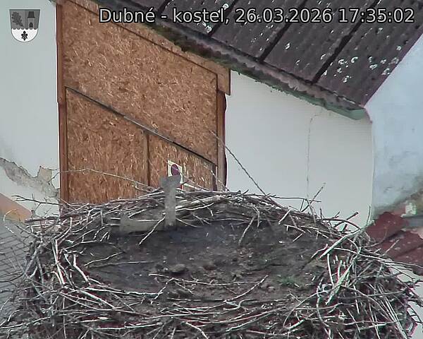 Capi_Dubne_20260326_173502.jpg (1350&nbsp;x&nbsp;1080)