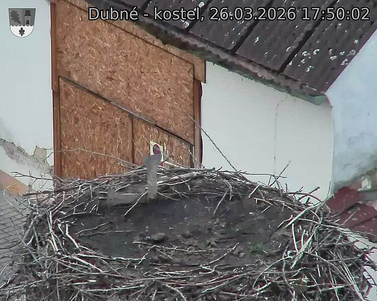 Capi_Dubne_20260326_175002.jpg (1350&nbsp;x&nbsp;1080)