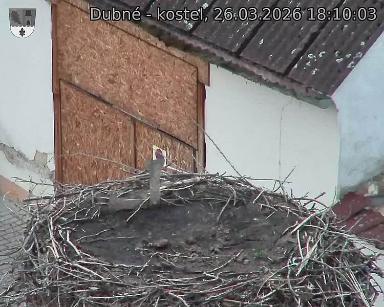 Capi_Dubne_20260326_181003.jpg (1350&nbsp;x&nbsp;1080)