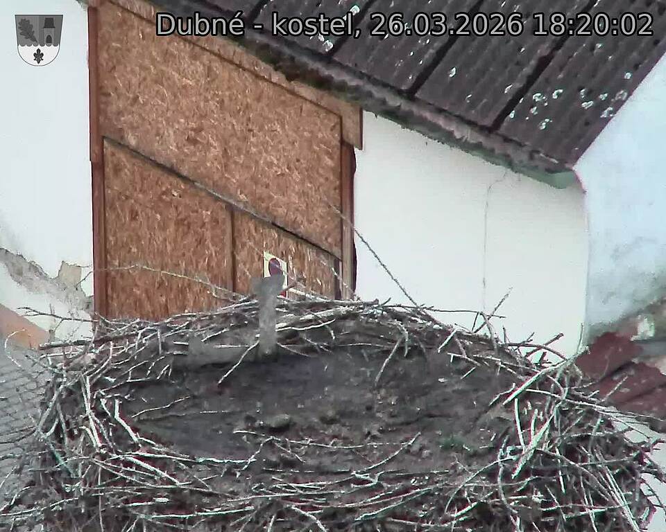 Capi_Dubne_20260326_182002.jpg (1350&nbsp;x&nbsp;1080)