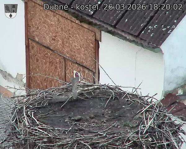 Capi_Dubne_20260326_182002.jpg (1350&nbsp;x&nbsp;1080)