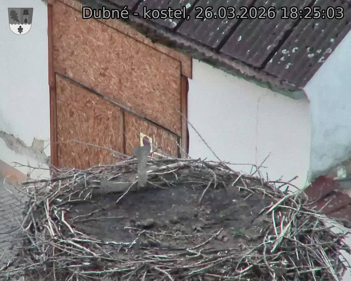 Capi_Dubne_20260326_182503.jpg (1350&nbsp;x&nbsp;1080)