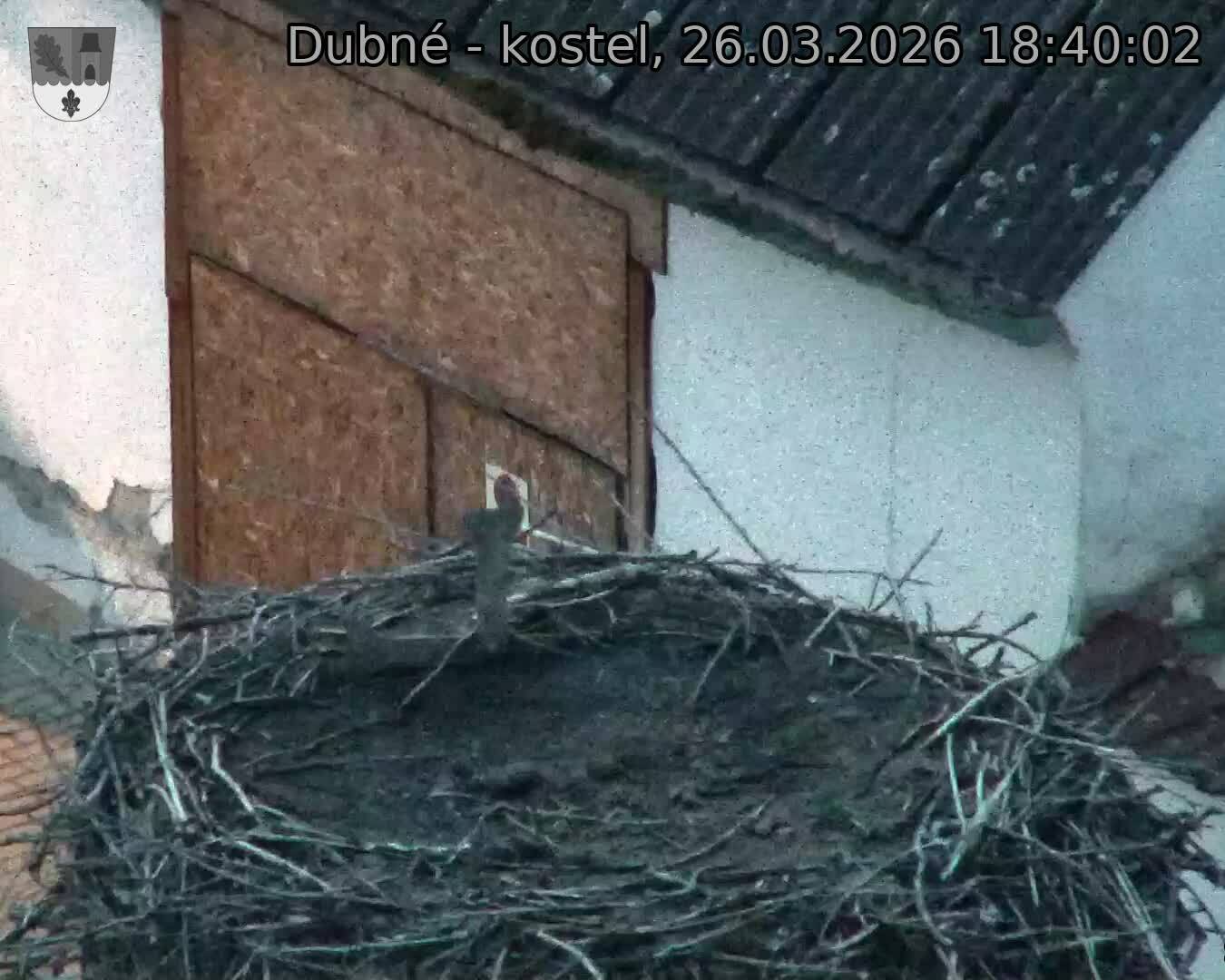 Capi_Dubne_20260326_184002.jpg (1350&nbsp;x&nbsp;1080)