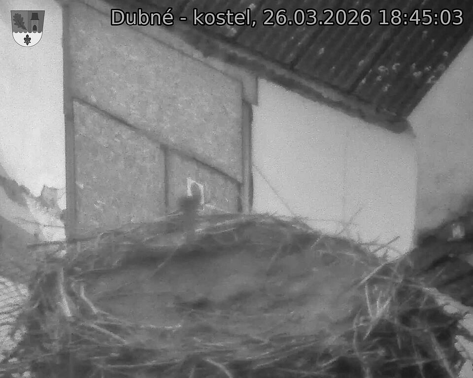 Capi_Dubne_20260326_184503.jpg (1350&nbsp;x&nbsp;1080)