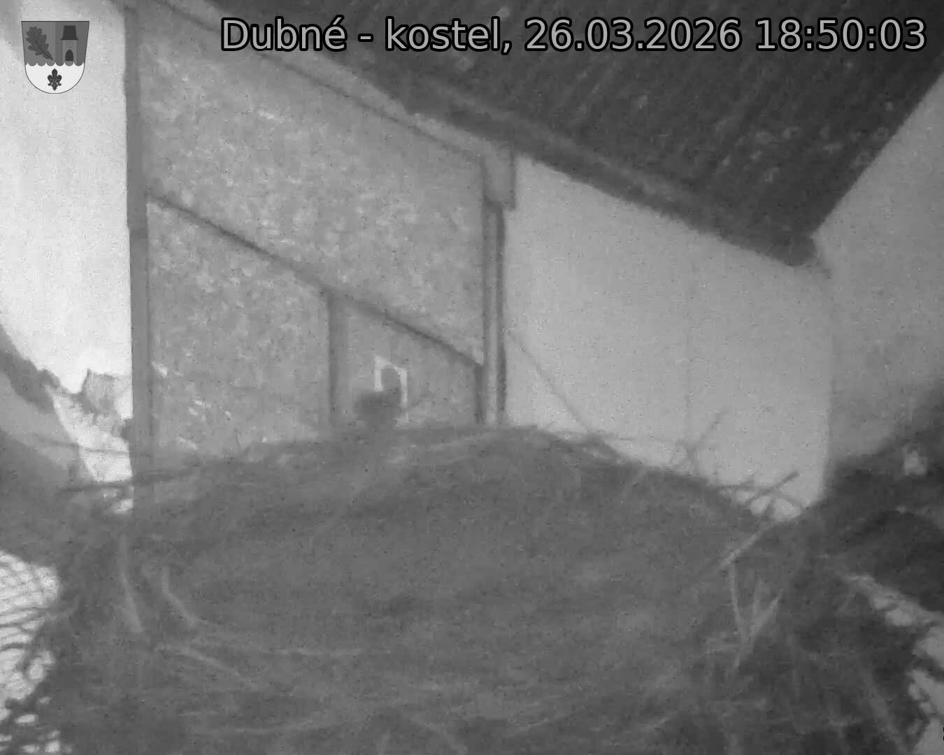 Capi_Dubne_20260326_185003.jpg (1350&nbsp;x&nbsp;1080)